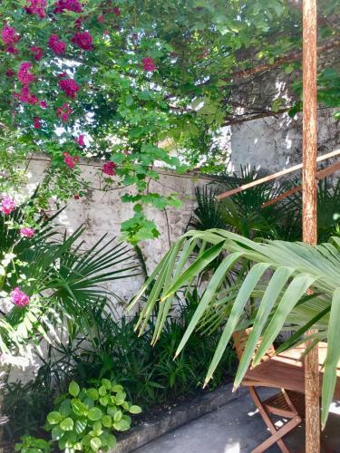 Apartamento Palmera