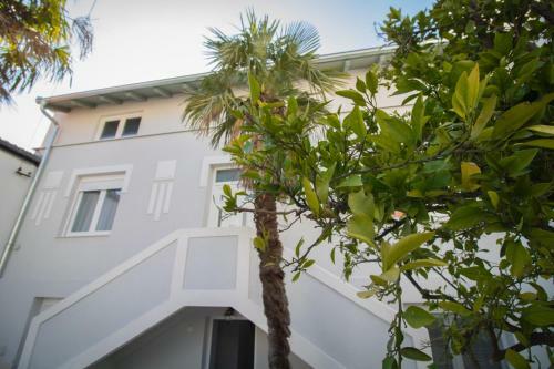 Hostal Villa M