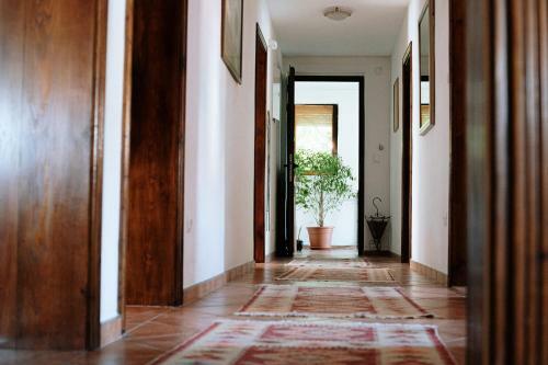 Apartment Ikar