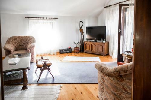 Apartment Ikar