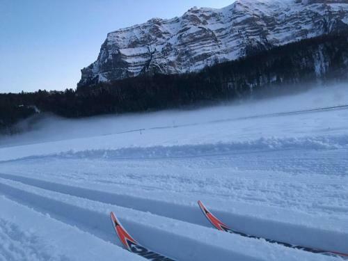 Apartamento Appartment Hirschberg