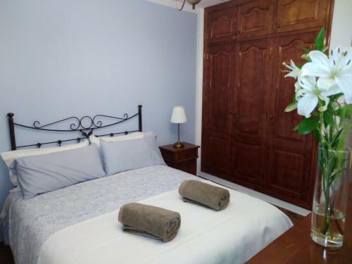 Apartamentos Casa Cipri