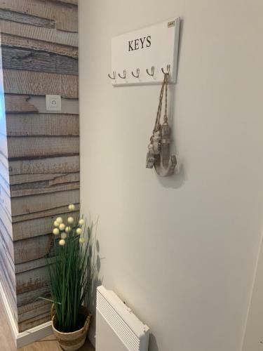 Apartamento Lecomte Zeedijk Blankenberge