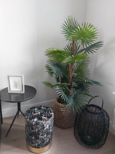 Apartamento Etoile De Mer