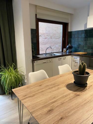 Apartamento Studio Zeedicht