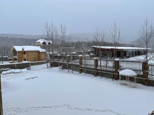 Yerevan House Luxury Apartment 12
