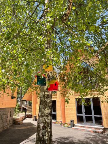 Eco Chalet Tsaghkadzor