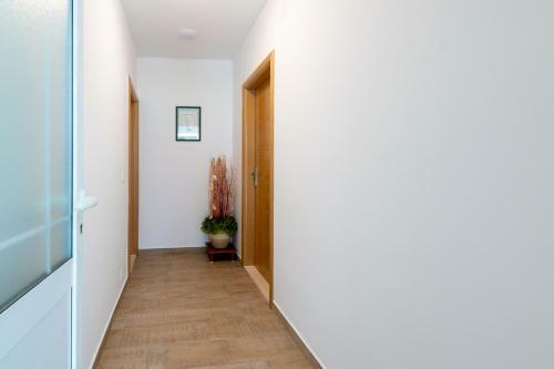 Apartmani Iva