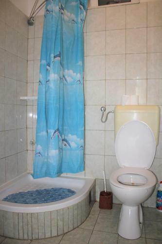 Apartments Pidi