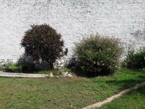 Hostal Y Temazcal Guemez