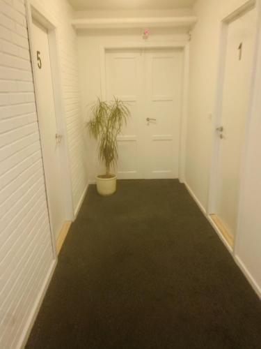 Hostal Aday - S�ndervangsvej - Room 1