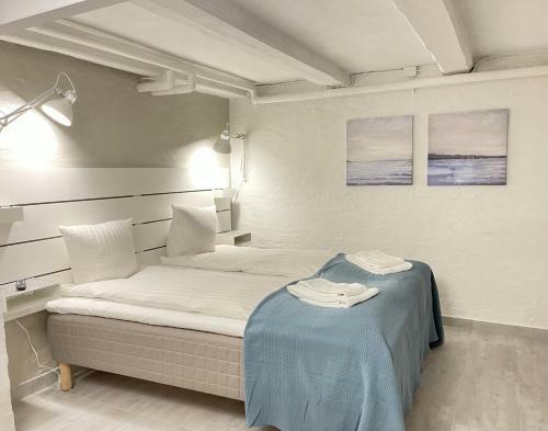 Hostal Aday - Aalborg Mansion Elegant Room