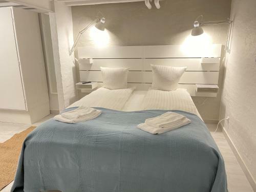 Hostal Aday - Aalborg Mansion Elegant Room