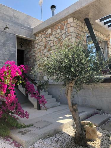 Villa Ayia Marina