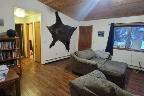 Whole Home, Airstrip/float Access, Aurora Viewing!