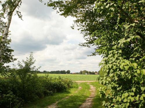 Agroturismo Holiday Home Boshuub Stramproy