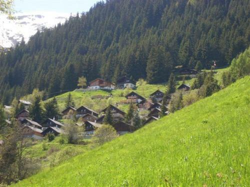 Wallisblick