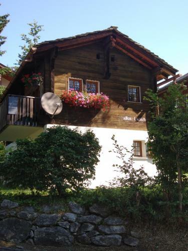Alter L�rch