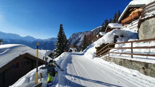 Chalet Baumfuchs Direkt An Der Talabfahrt Belalp