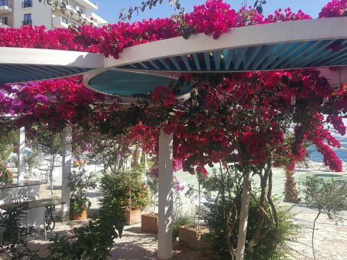 Apartment Bay, Bougainville Bay Resort