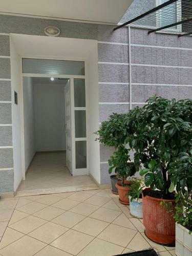 Cindy Apartament