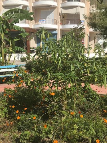 Apartamento Seaview Alba Appartament Close To Beach