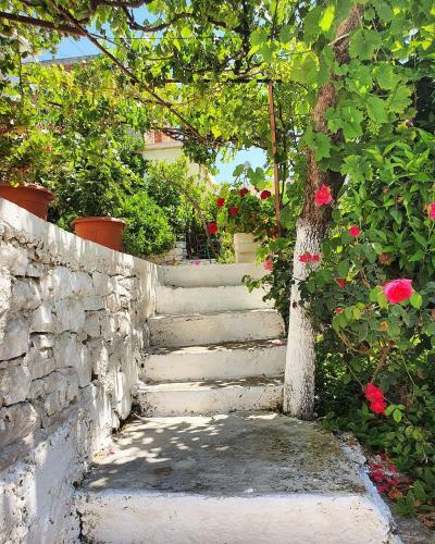 Hostal Meto Rooms