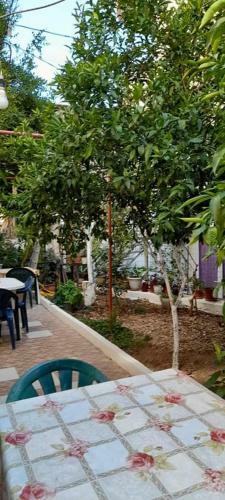 Kas Garden
