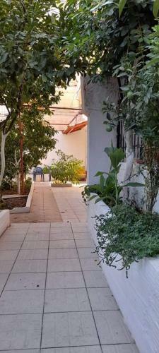 Kas Garden