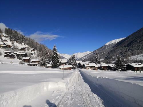 Apartamento Haus Seiler