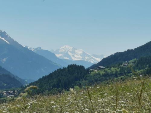 Apartamento Haus Seiler