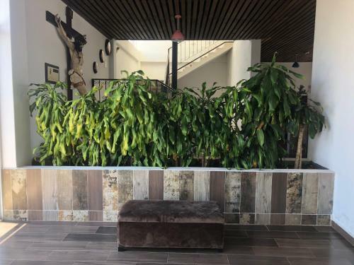 Hotel Jh Boutique