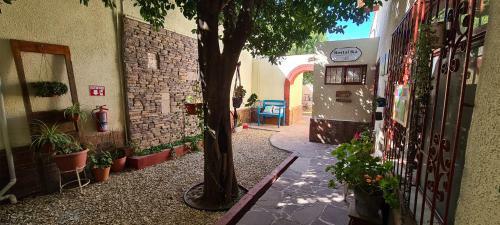 Hostal Ik�