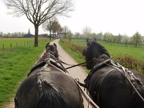 De Moolt Vakantiewoningen