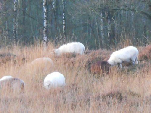 Bed & Breakfast Slaopen En Stoet