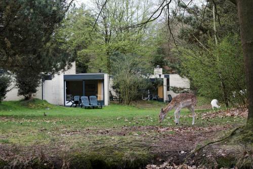 Center Parcs Het Meerdal