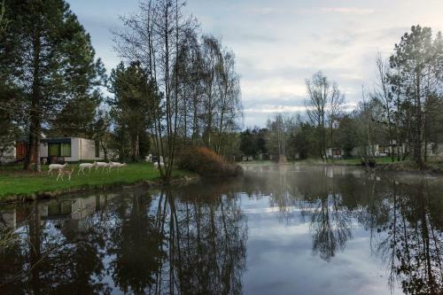 Center Parcs Het Meerdal