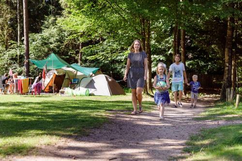 Rcn Het Grote Bos
