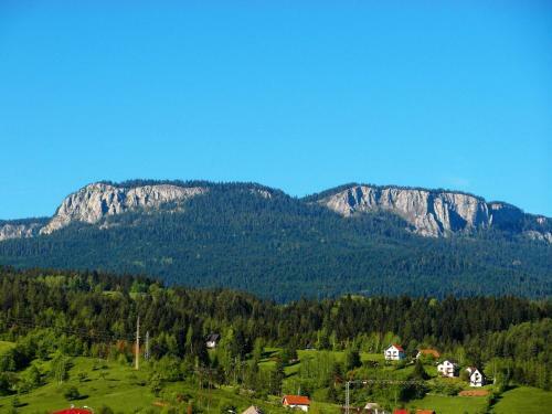 Villa Vila - Apartmani Golijanin