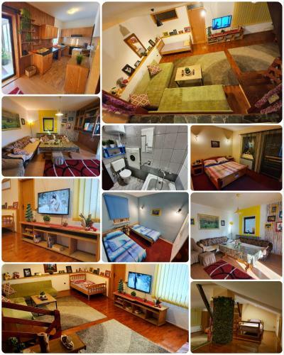 Villa Vila - Apartmani Golijanin