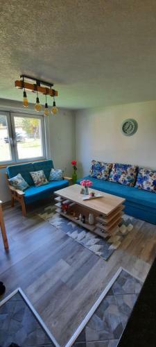 Deda Simina Vikendica