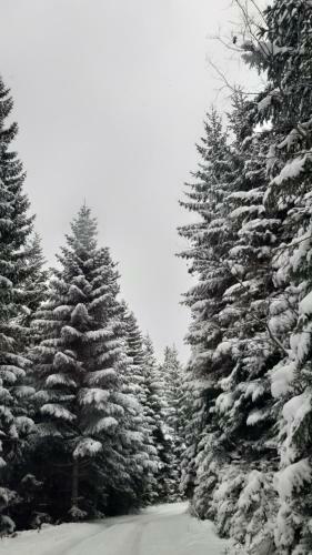 Ku?a Za Odmor Ravna Planina
