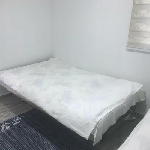 Apartman Dada
