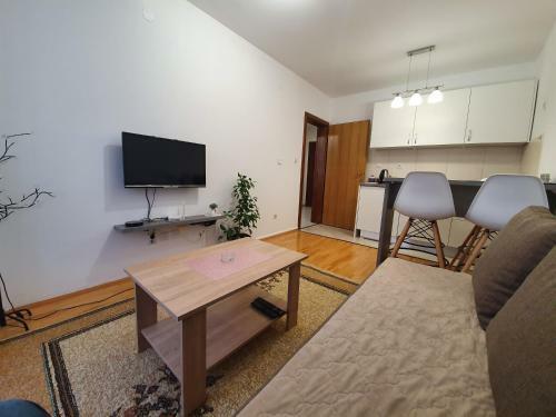 Apartments Sa?a