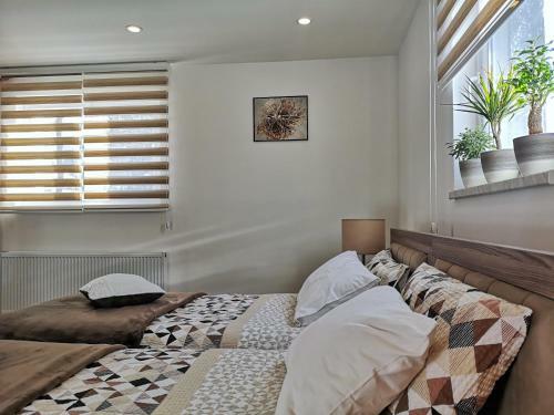 Apartmani Nis