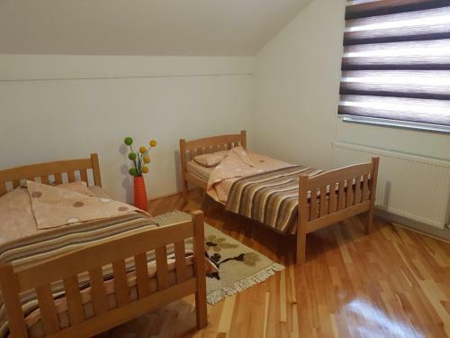 Apartman Jelena