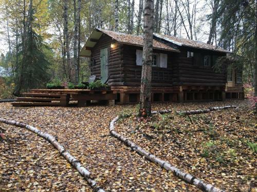 Trapper John's Cabin & Cottages