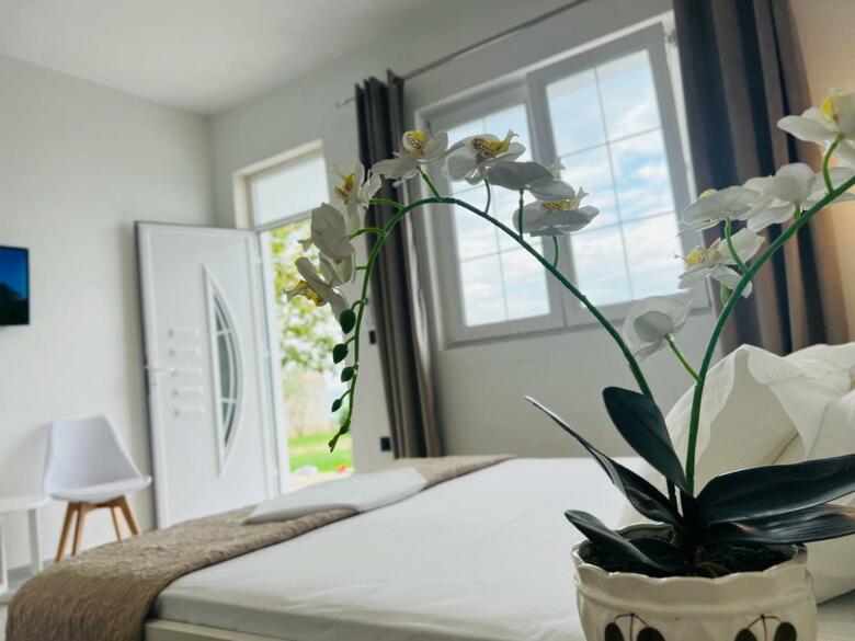 Hostal Iart Residence
