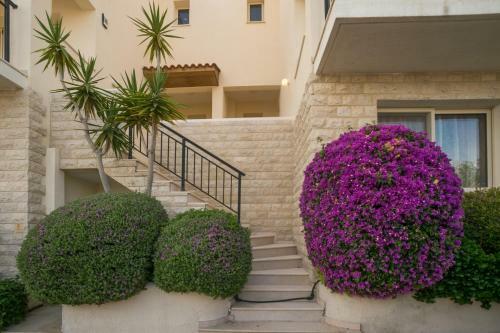 The House With Amazing Sea View In Paphos