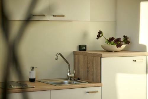Apartamento Charmantes-appartement Mit Garten �ber Bregenz